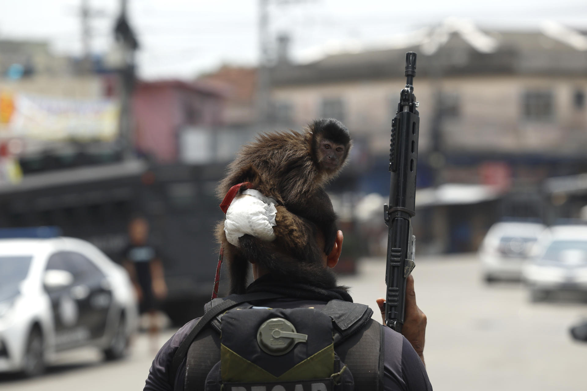 Escenas de guerra: así fue la operación policial en Río de Janeiro que dejó 64 muertos