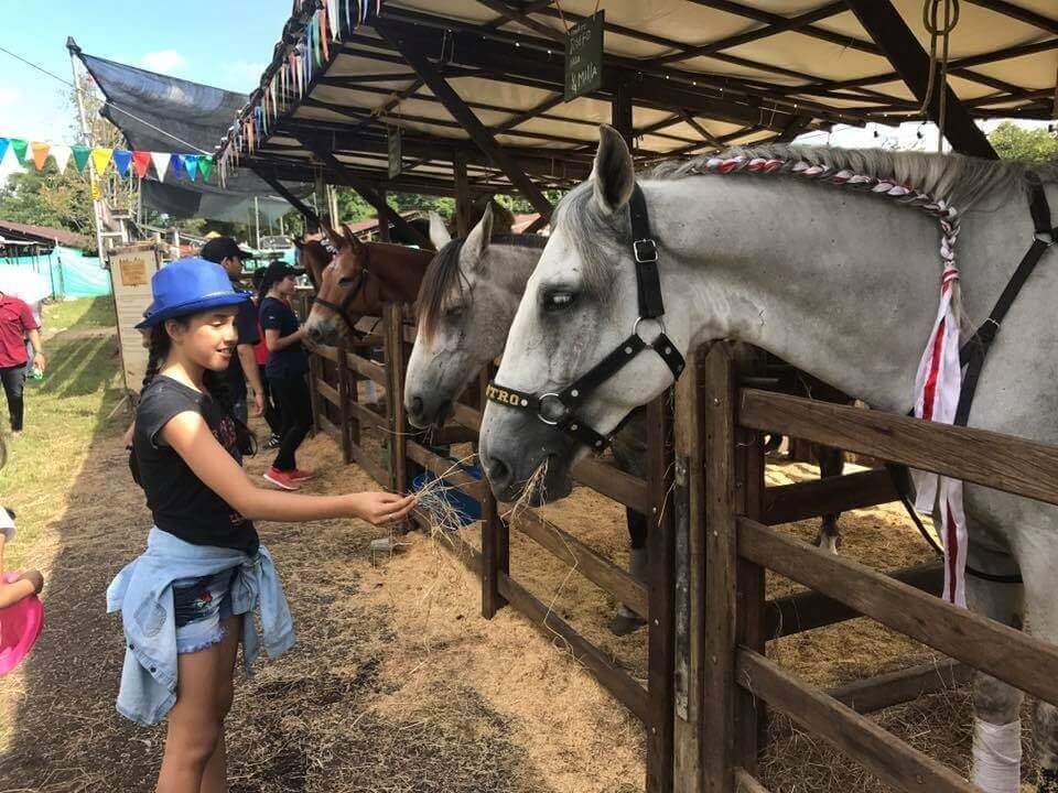 Más de 1.000 animales en exhibición, el atractivo de Expomalocas