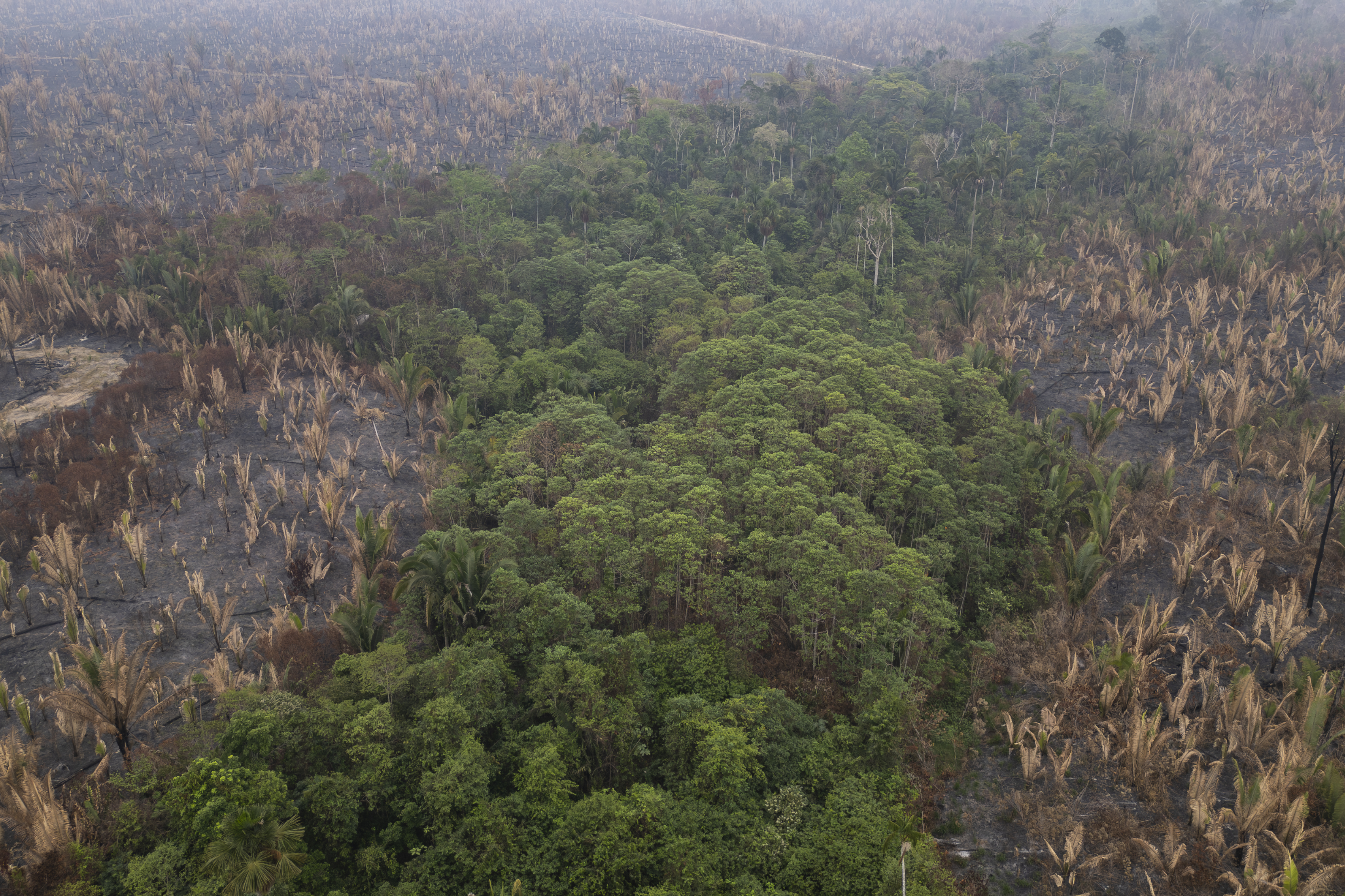 Emisiones por incendios en la Amazonía brasileña son las más altas en 20 años