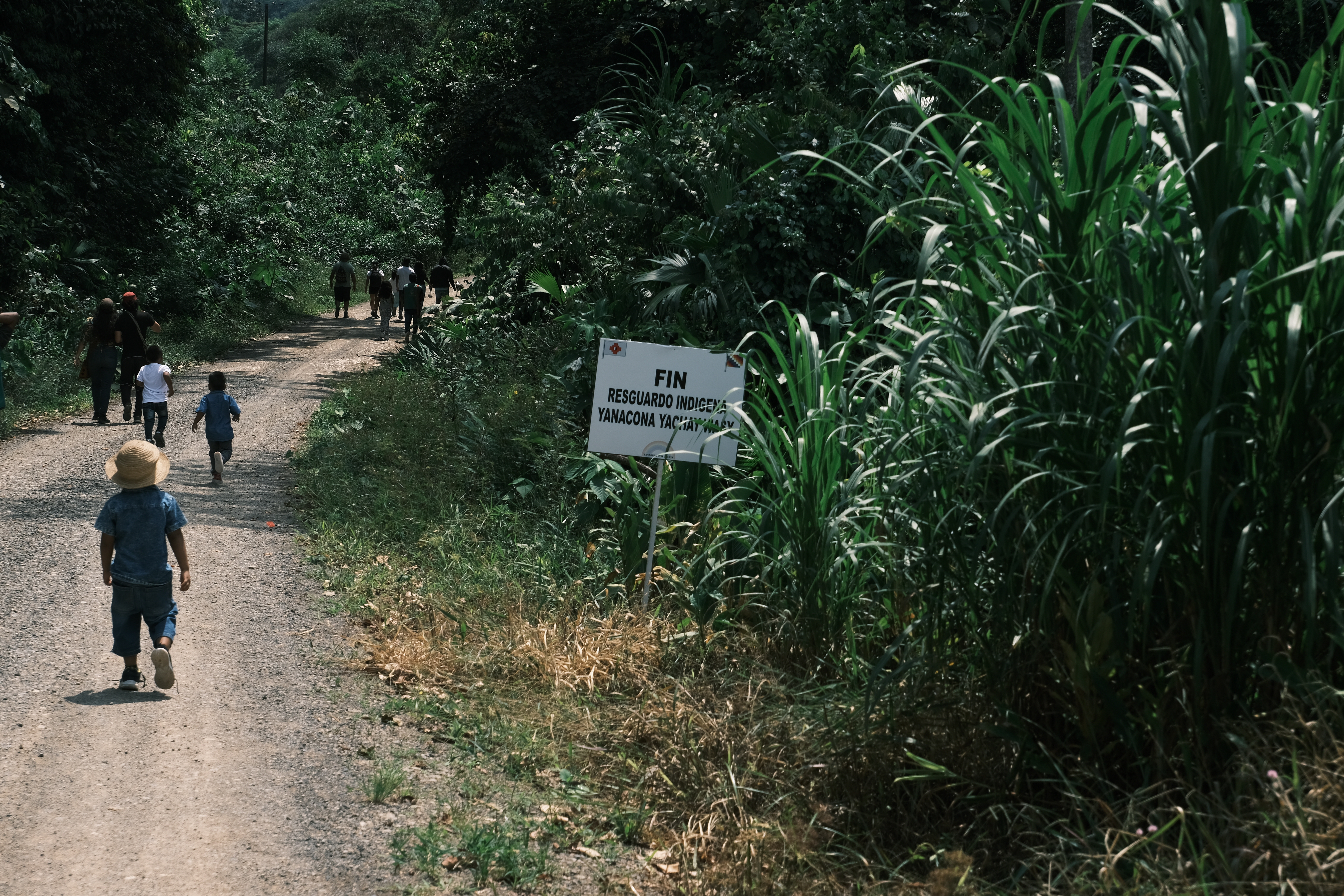 Extraer o no cobre en Putumayo, donde se unen los Andes y la Amazonia 