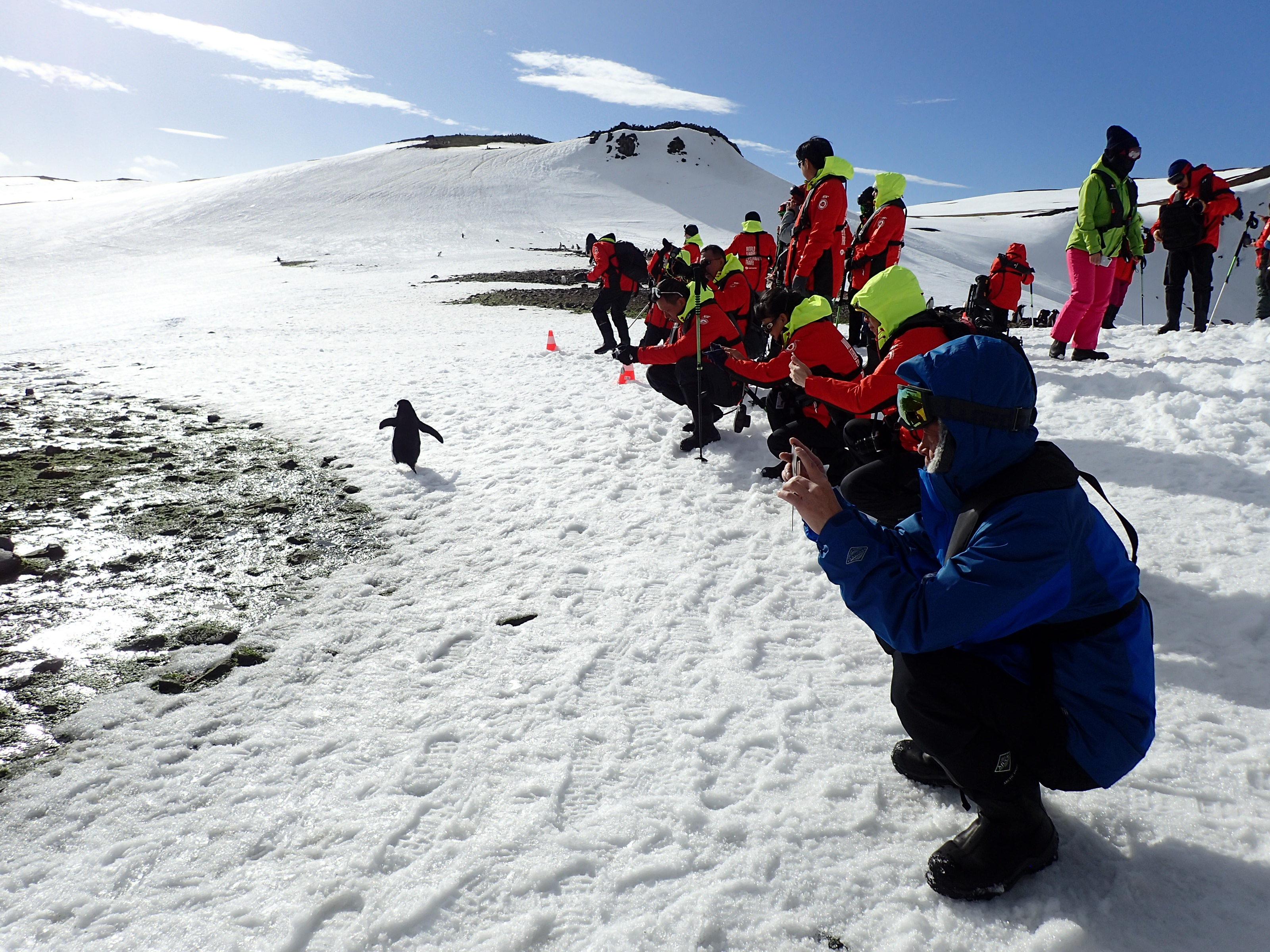 ANTÁRTIDA, 14/03/2025.- Varios turistas fotografían en la Antártida a un ejemplar de pingüino que escapa de la avalancha de personas. EFE/ASOC/Ricardo Roura **SOLO USO EDITORIAL/SOLO DISPONIBLE PARA ILUSTRAR LA NOTICIA QUE ACOMPAÑA (CRÉDITO OBLIGATORIO)***