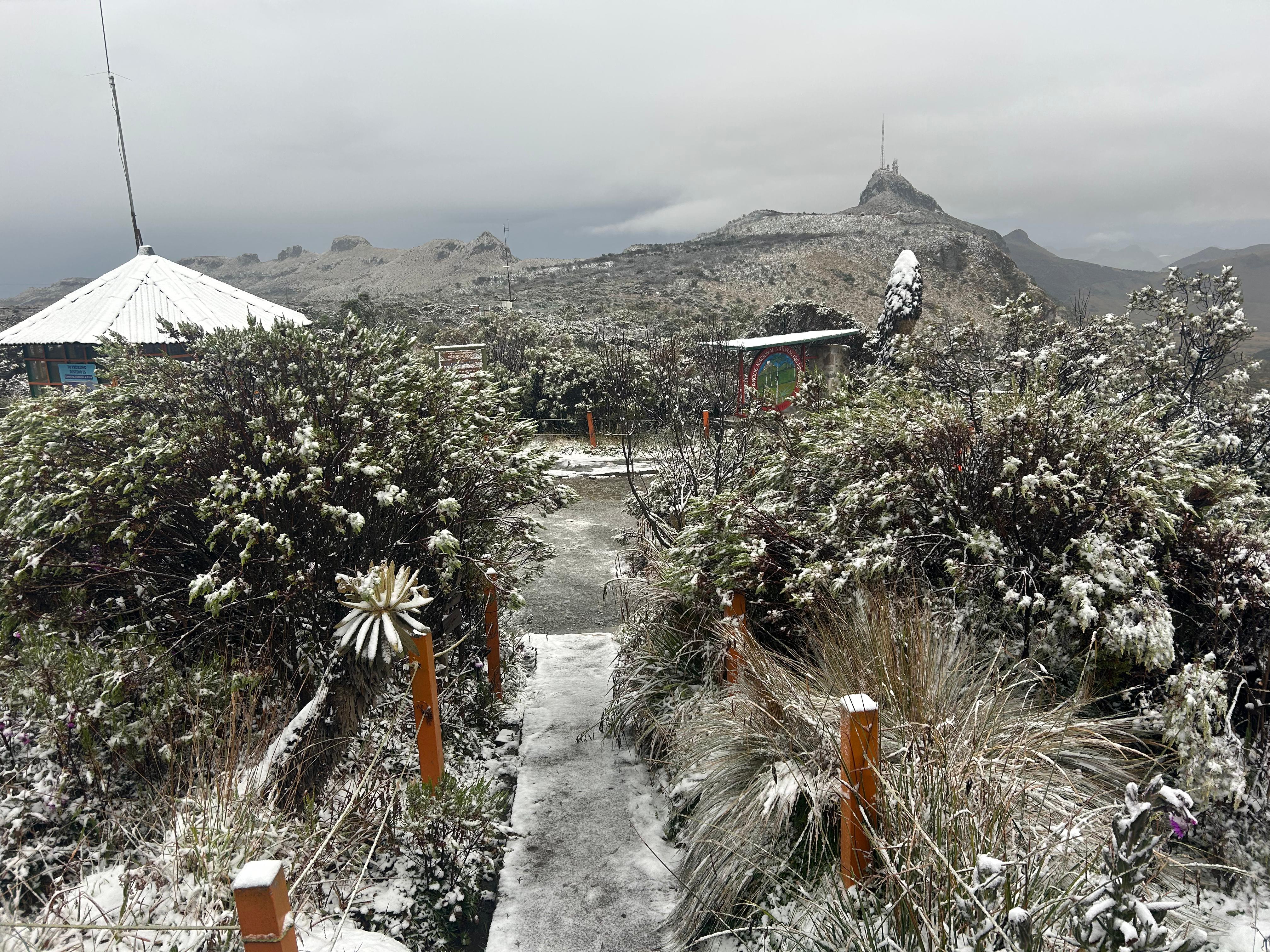 Proponen peaje ambiental y pico y placa para el turismo en Parque Los Nevados