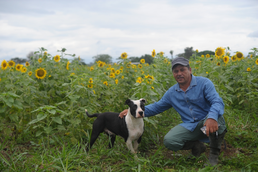 Romaña pide aplazamiento para comparecer ante la JEP