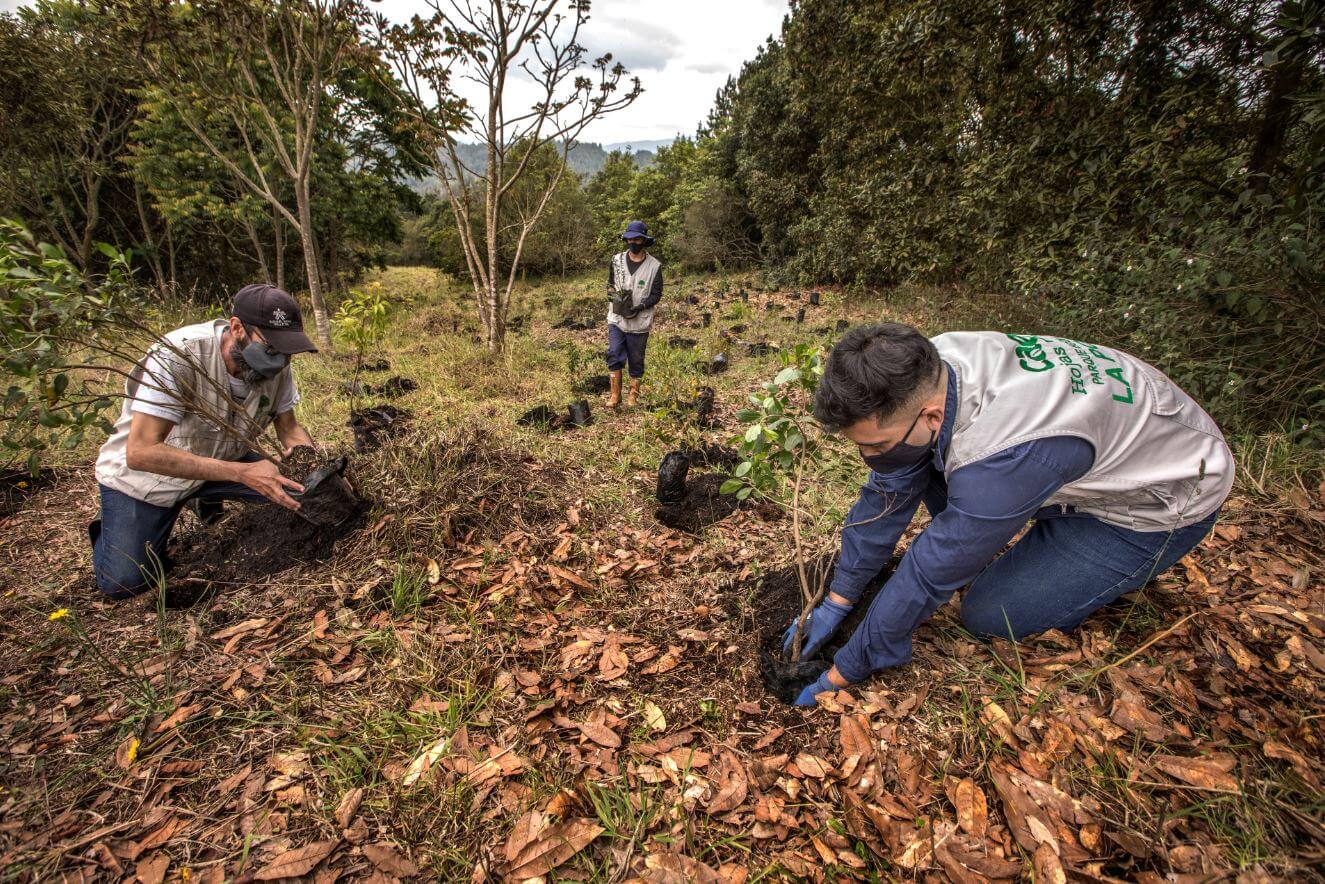 Parque La Poma, 25 años de una alianza entre el sector público y privado de Bogotá