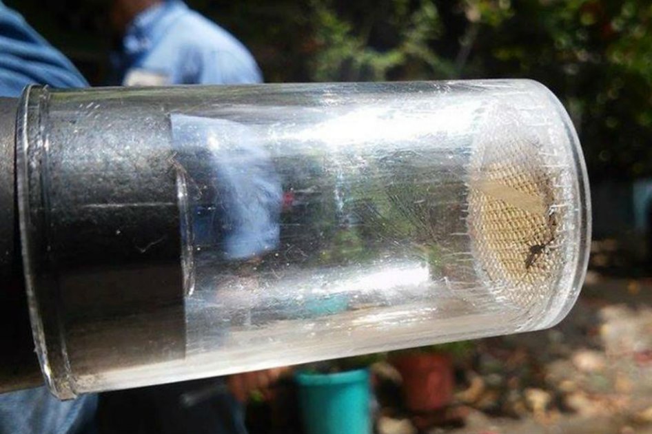 Investigadores estadounidenses crean clon del zika