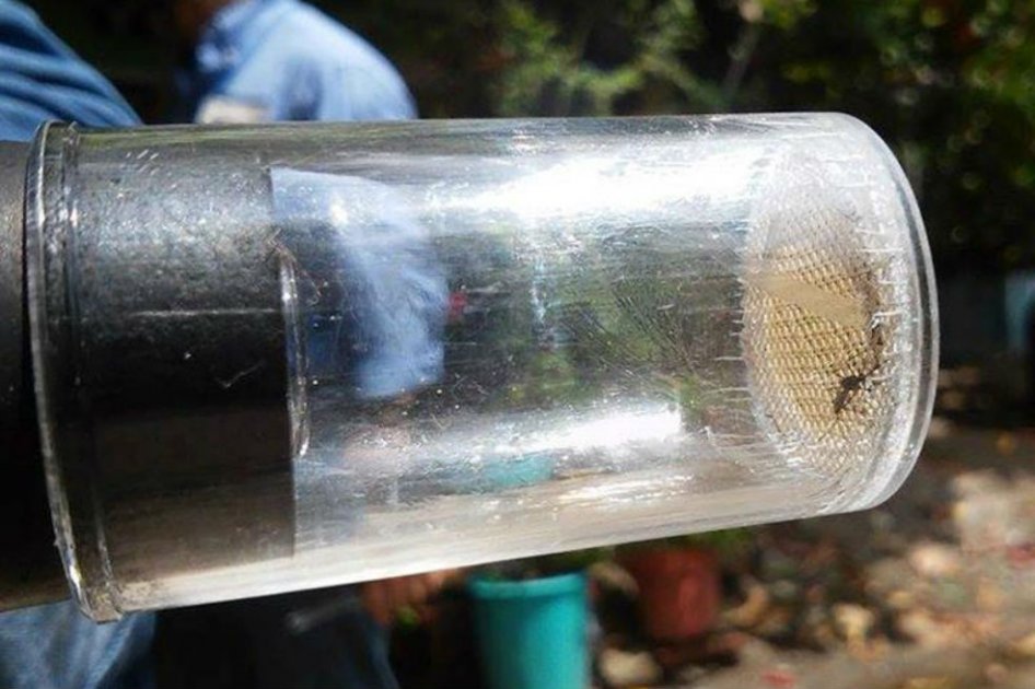 OMS pide prudencia sobre relación entre el zika y muerte de 3 personas en Colombia