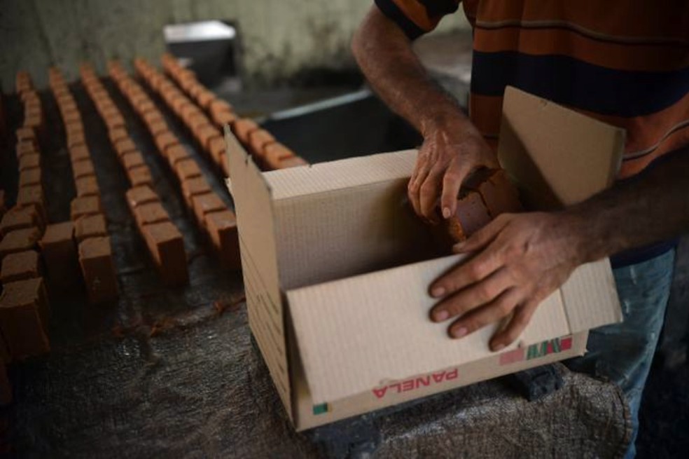 Crean mercado campesino virtual para evitar pérdidas por bloqueos