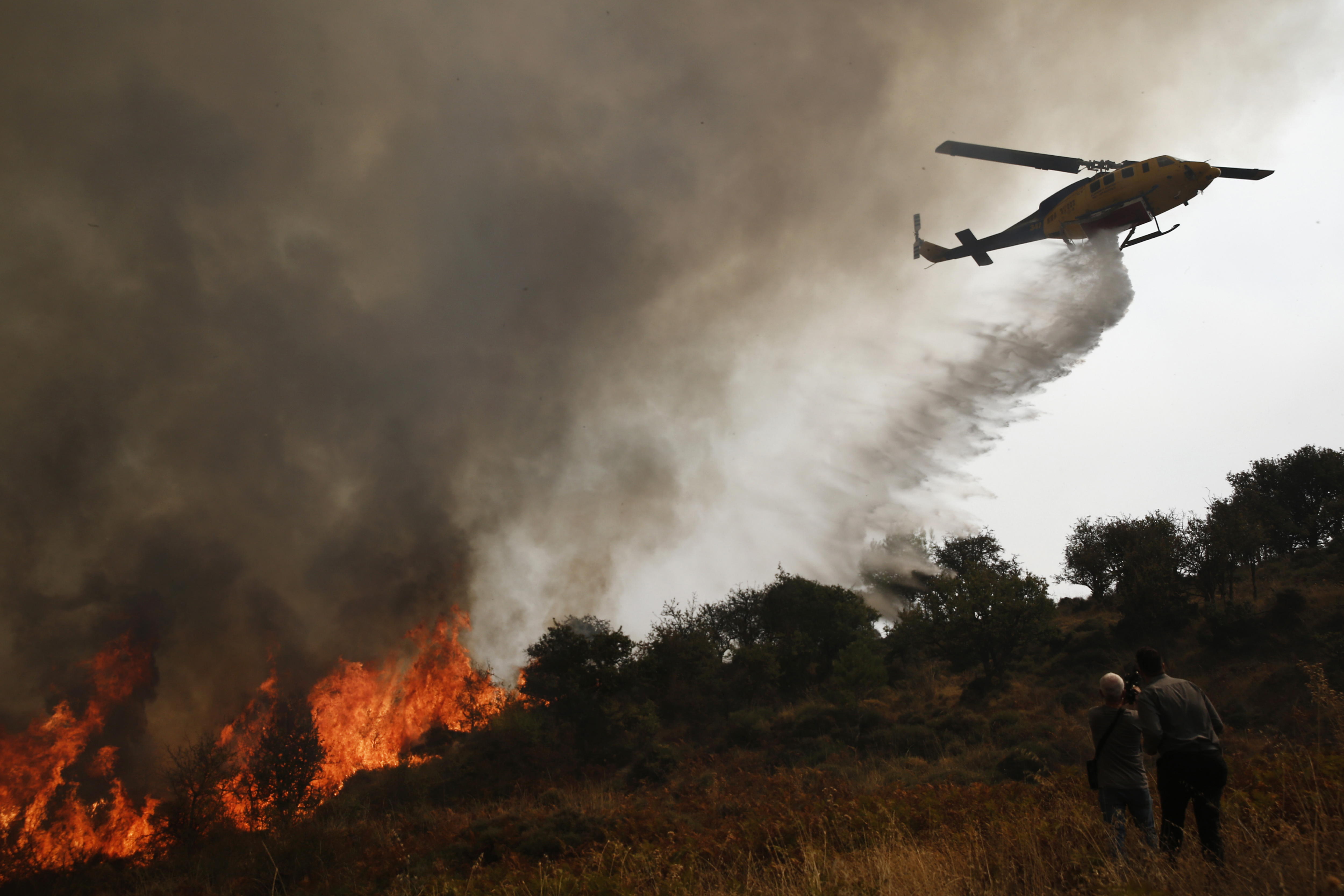 Los incendios forestales harían que la Tierra absorba menos carbono