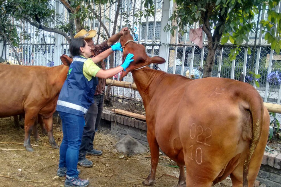 Conozca las medidas de control para visitar Agroexpo, en medio de la emergencia sanitaria