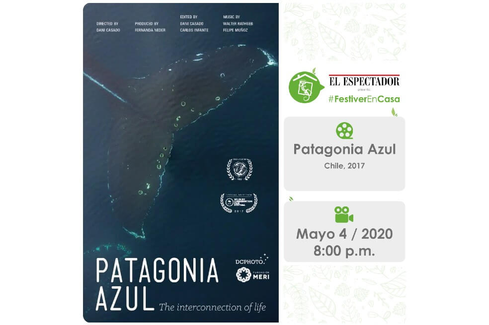 Festiver en Casa: aquí puede ver gratis «Patagonia Azul, la interconexión de la vida»