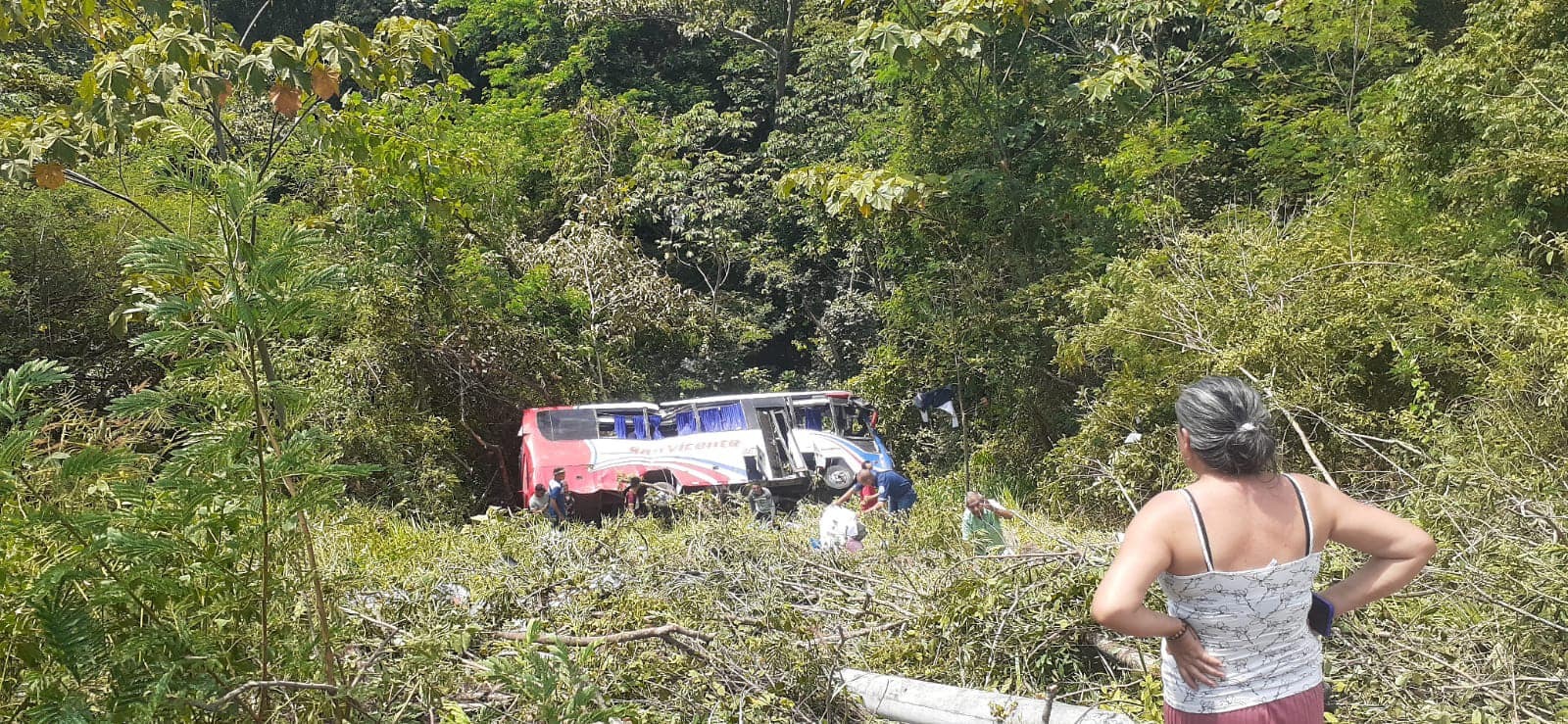 Dos muertos y 20 heridos deja accidente de bus en la vía Ibagué-Bogotá