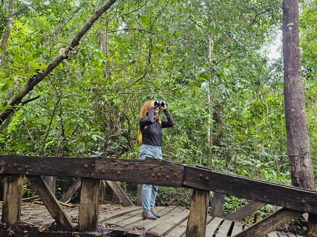 Así es Mapiripán, Meta, el punto donde el llano se funde con la selva