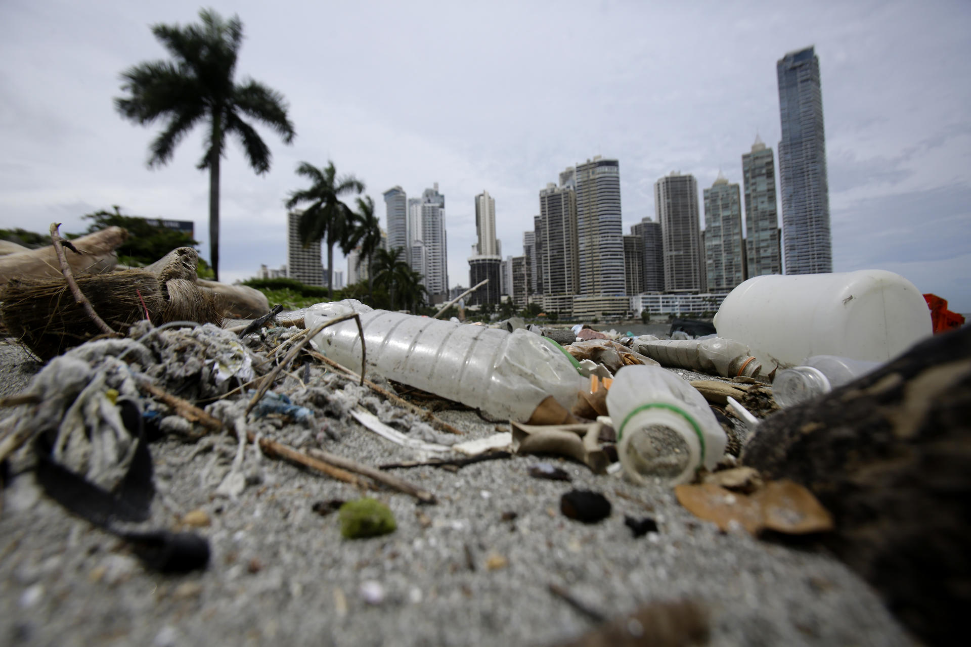Esto es lo que podría pasarle al planeta si no se ataja la contaminación por plásticos