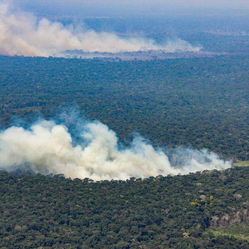 Los puntos de calor de la Amazonia se concentran en Meta, Caquetá, Guaviare y Putumayo.