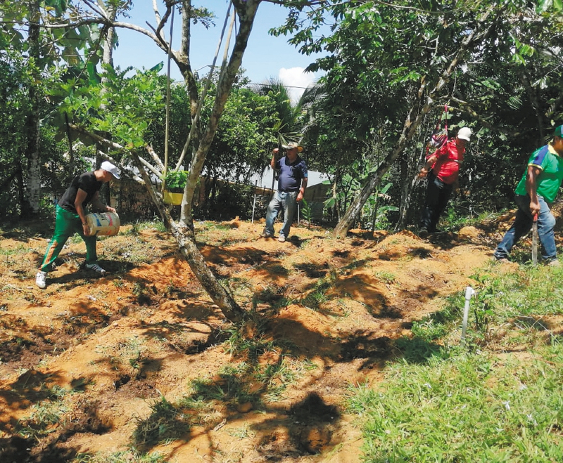 Los campesinos de Semillas de Paz trabajaron por dos años la tierra de la hacienda con la esperanza de luego poder formalizarse en sus predios.