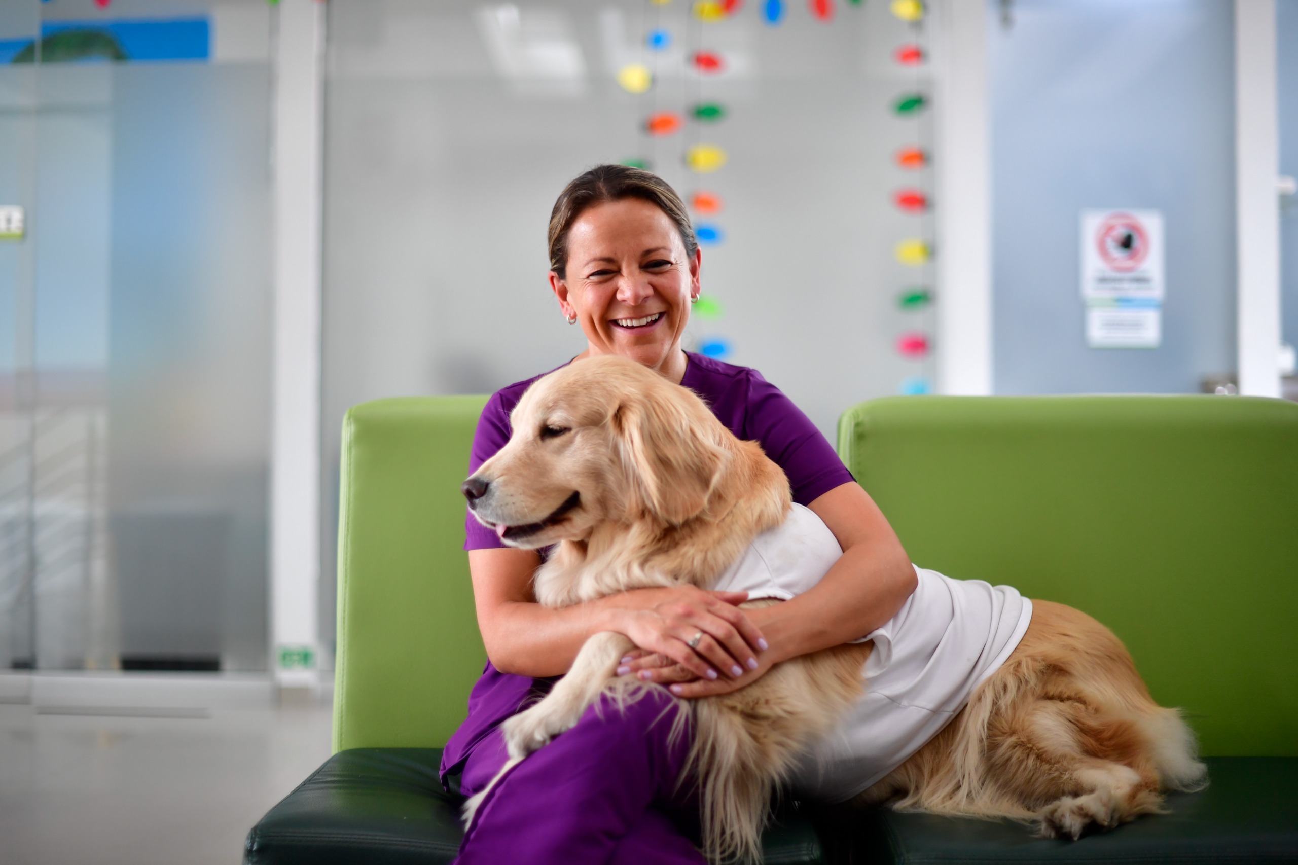 Perros que ayudan a sanar: animales como apoyo clave en la salud mental