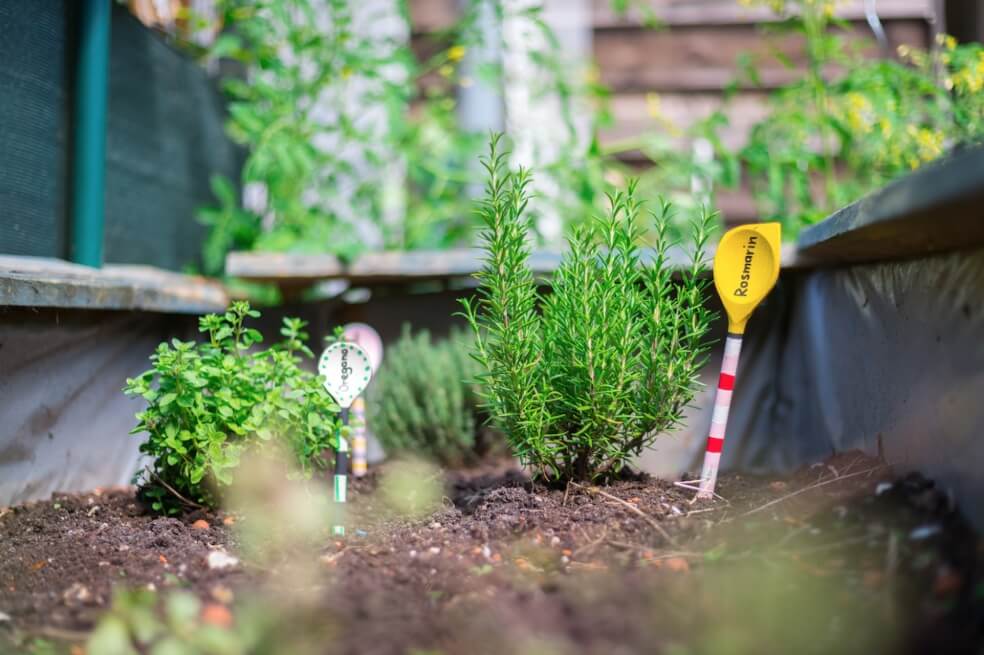 Agricultura urbana: cultivos que provee la ciudad