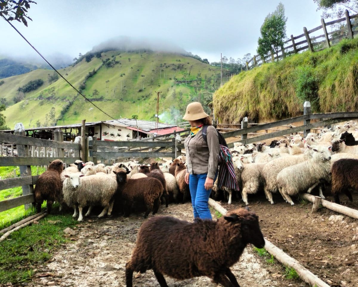 A través de sus experiencias, busca conectar a los viajeros con el entorno natural y cultural del territorio.