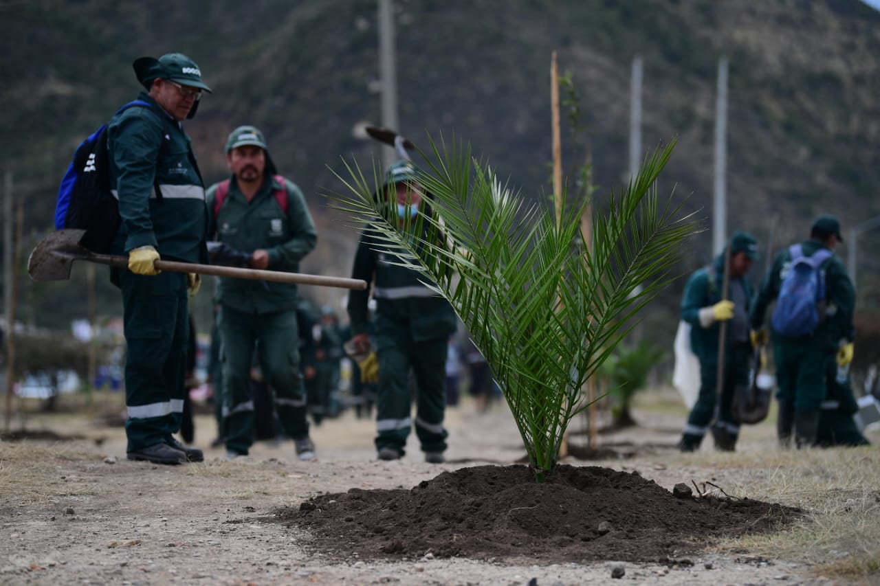 En la jornada se sumaron cerca de 30 solados del Batallón Guardia Presidencial, vecinos del sector y comunidad en general.
