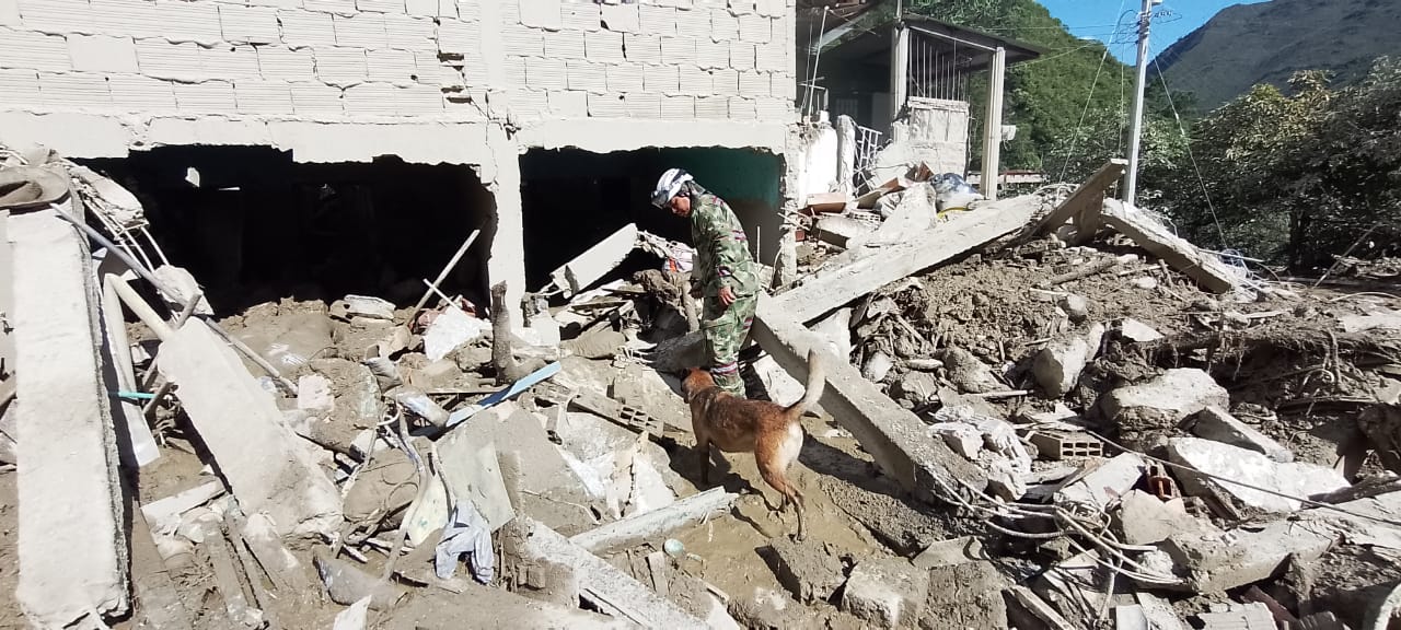 Ulises, el compañero de Wilson en la Operación Esperanza, está buscando personas en Quetame, Cundinamarca