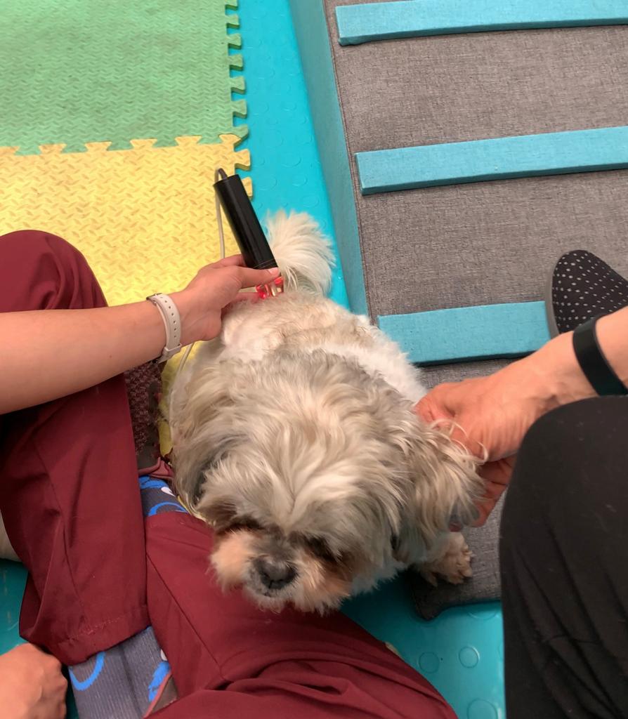 Teo tiene 11 años y sufre de espasmos musculares con frecuencia, por lo que asiste a terapias en ZooHands.