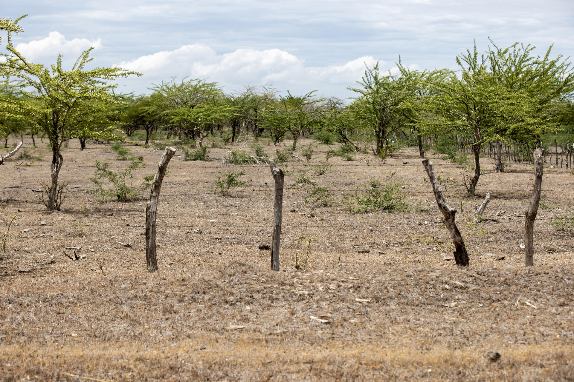 Este problema ambiental le cuesta al mundo un billón de dólares al año