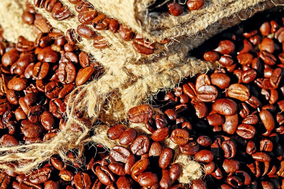 Calentamiento global pone en peligro producción de café latinoamericano