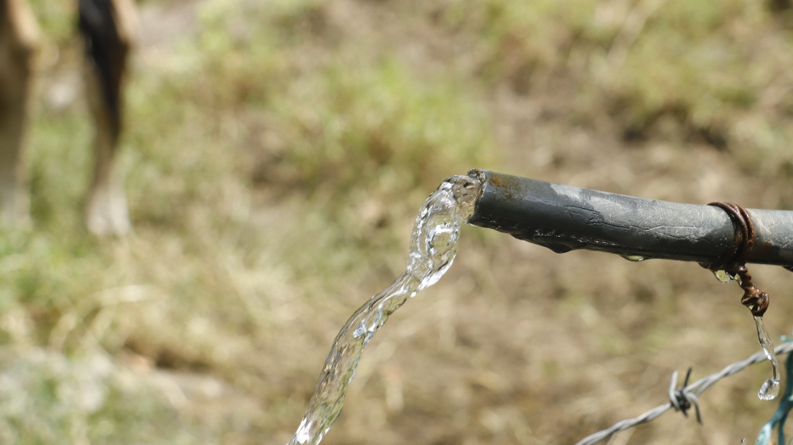 Detectan captación ilegal de agua en área protegida de San Antonio del Tequendama
