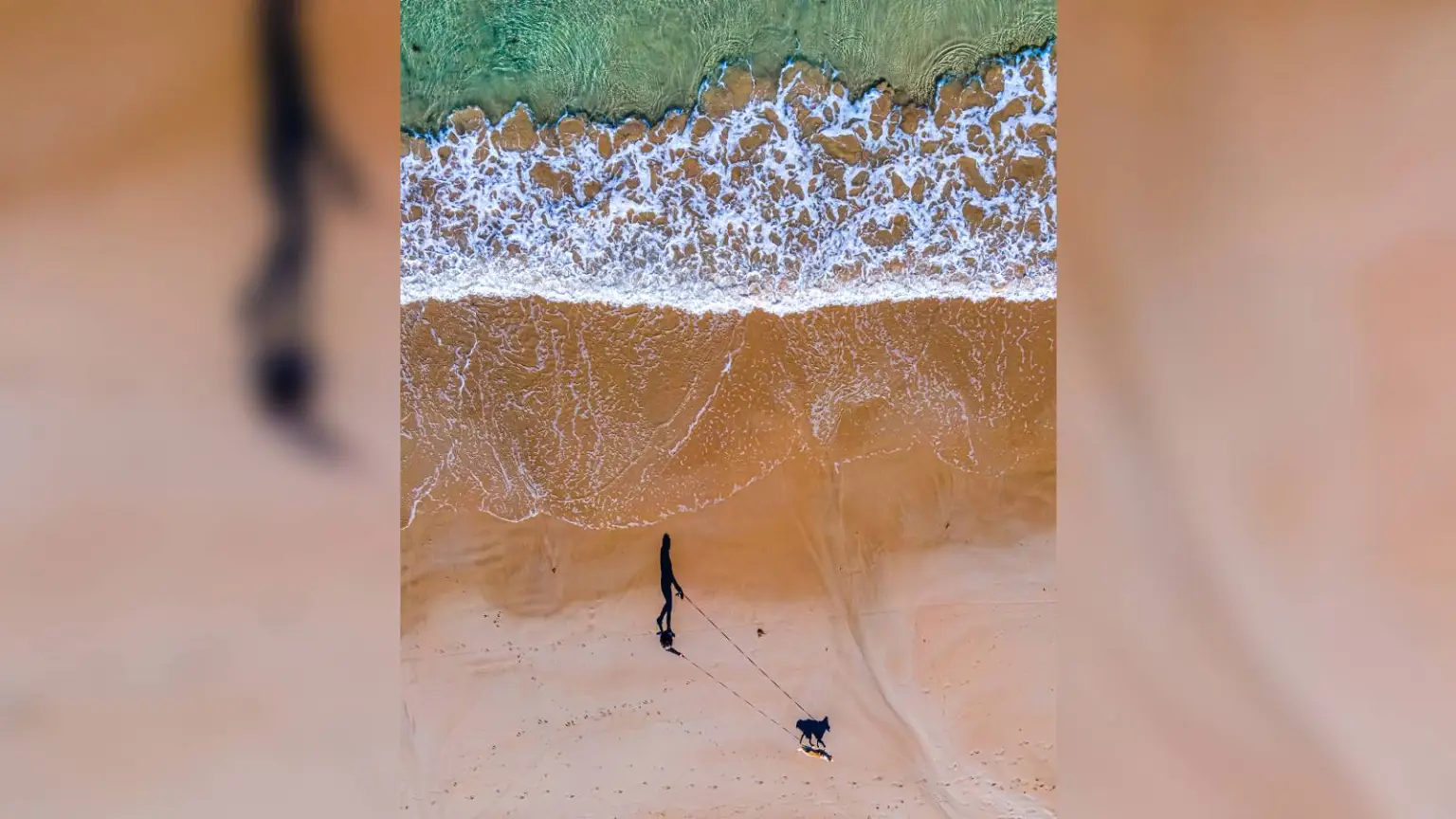 El fotógrafo Russell Charters, se llevó el tercer lugar con esta fotografía tomada con su dron de su pareja y su perra, Luna, caminando por la playa.