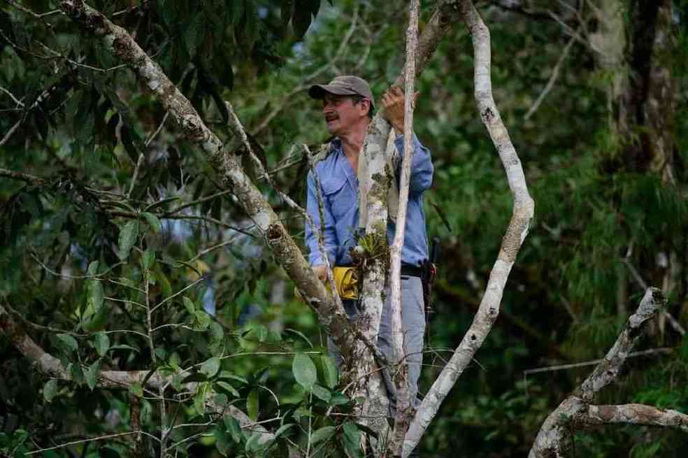 Ovidio Álvarez,  un héroe de la conservación. / Twitter: @luisyepesb