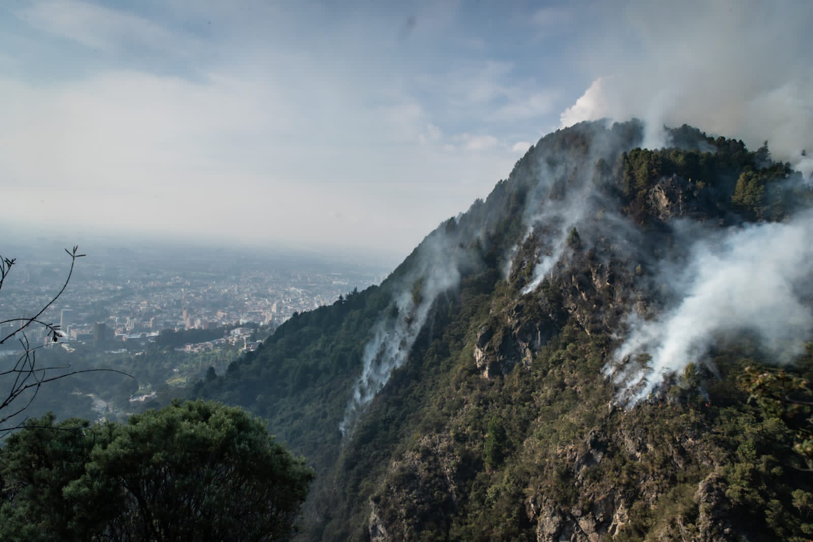 Incendios en Colombia: este es el balance del lunes 29 de enero