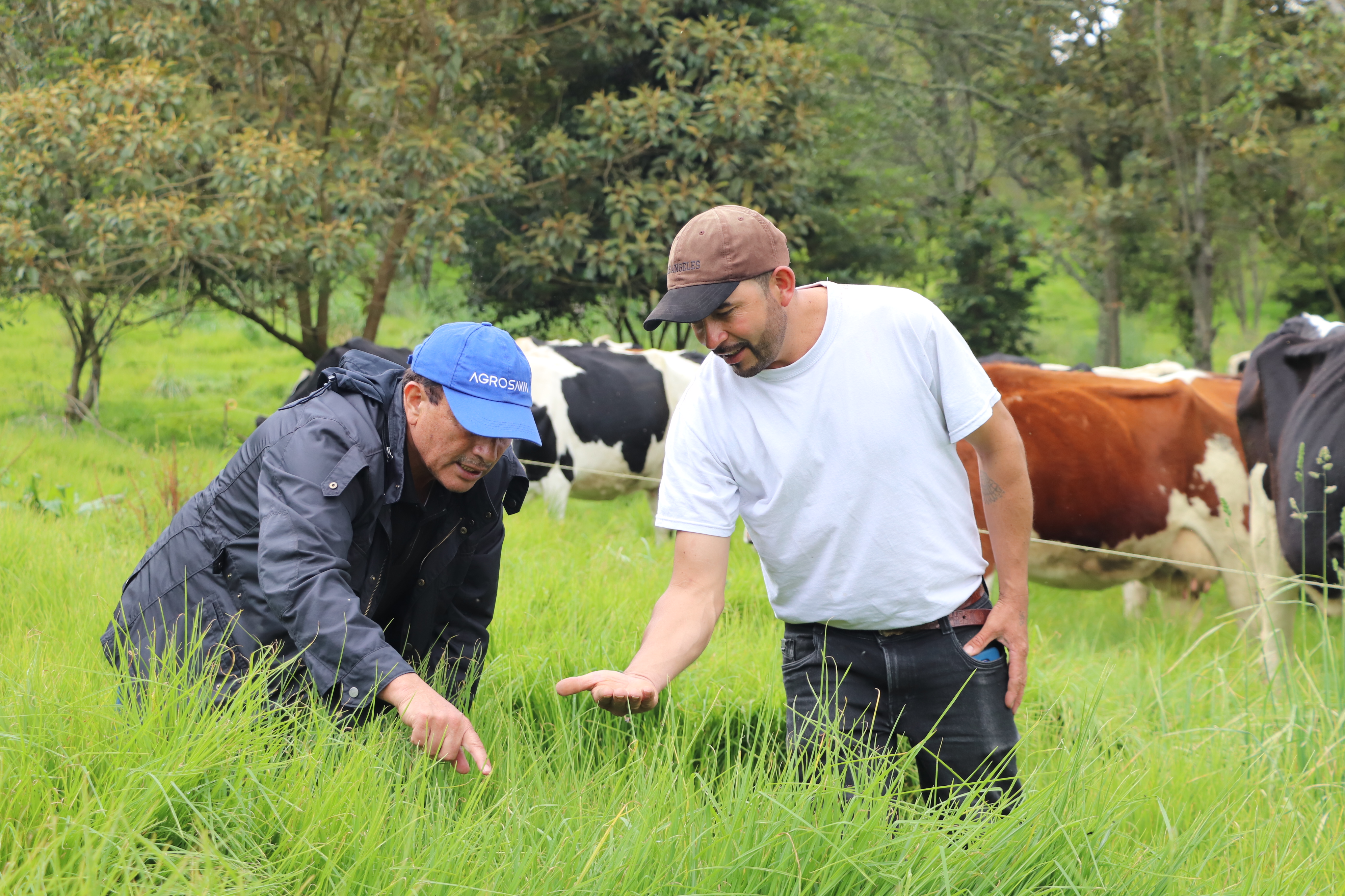 La extensión agropecuaria, formación rural y apropiación social del conocimiento serán uno de los temas abordados.
