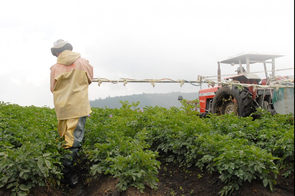 ¿Qué está pasando con el campo colombiano?