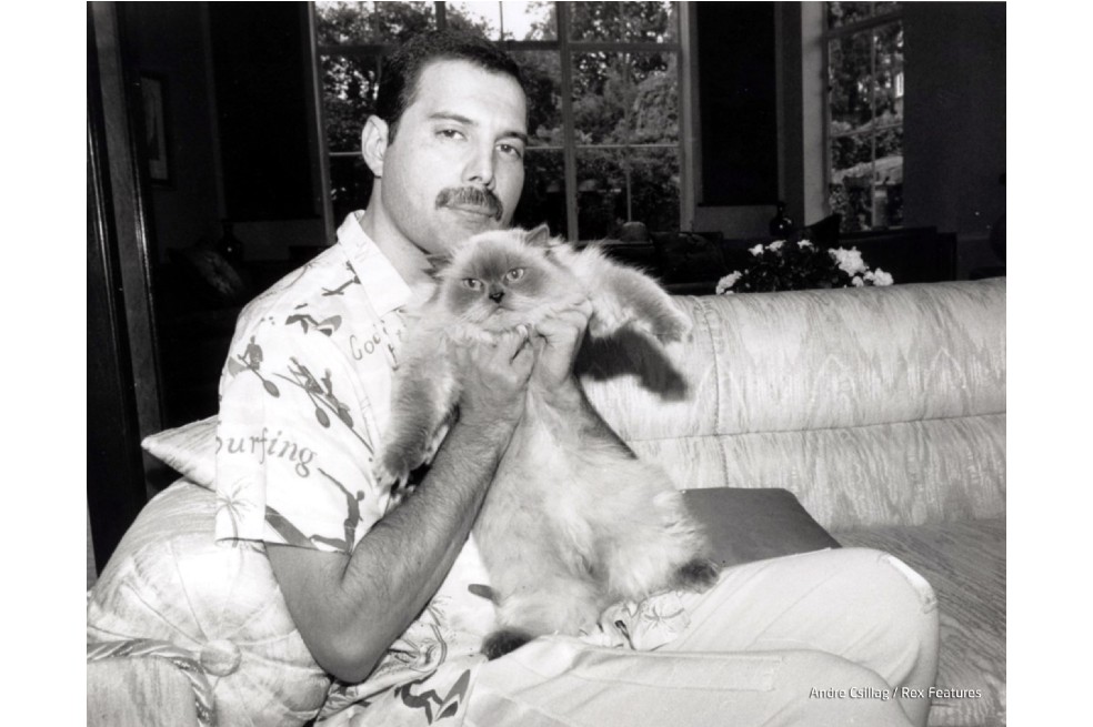 Reino Unido lanza moneda de Freddie Mercury por 40 años de Live Aid y álbum en solitario