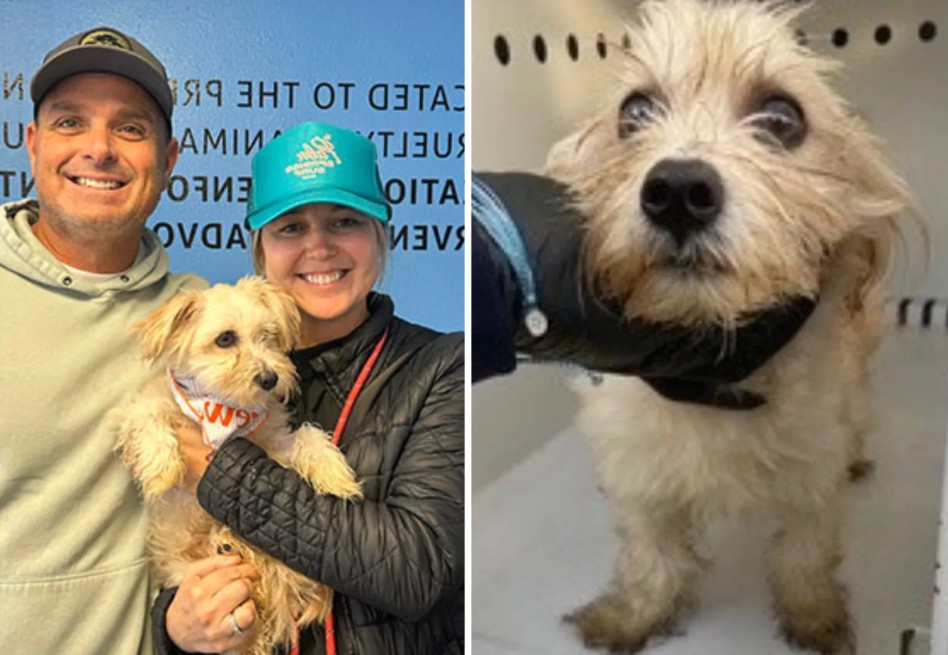 Oficial de policía adopta a perrito que el mismo rescató de un contenedor de basura