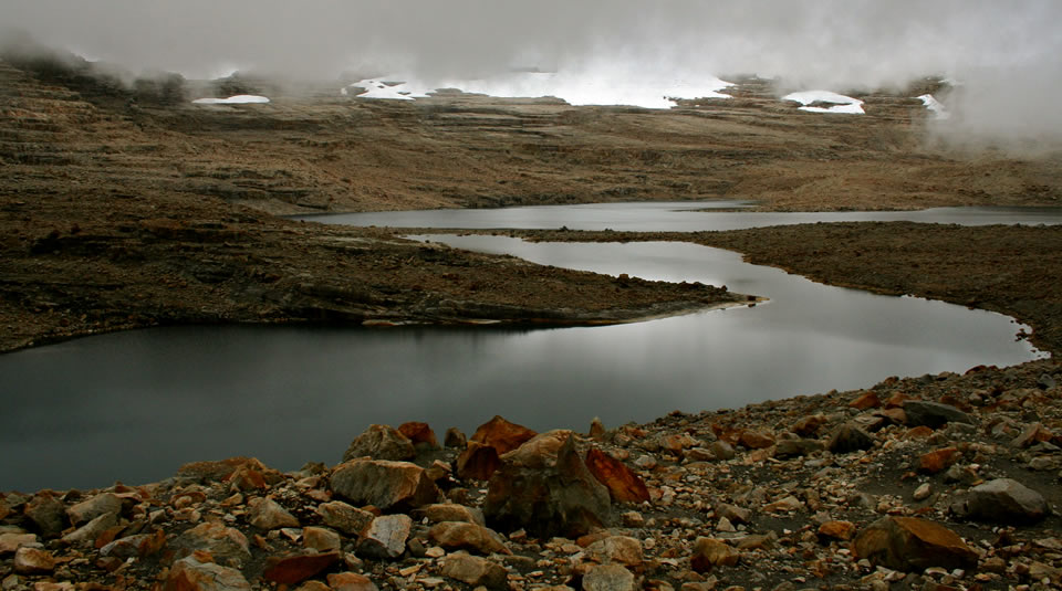 El Parque Nacional Natural el Cocuy es perfecto para quienes se interesan por la fauna y flora. Hay mamíferos terrestres como: puma, venado de cola blanca, oso de anteojos, mono cariblanco y saíno.