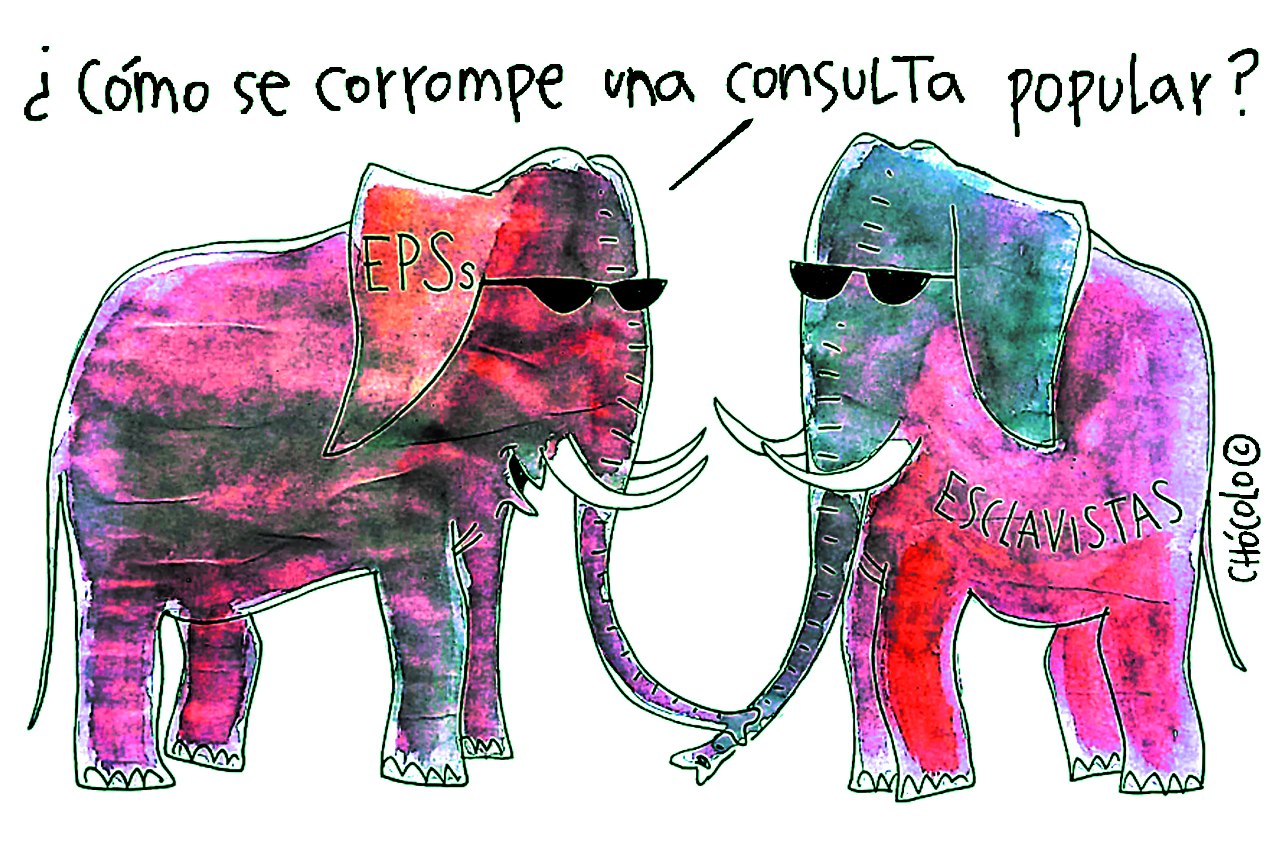 Chócolo