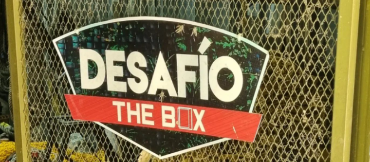 ‘Desafío The Box’: cinco mujeres se enfrentaron en el ‘Box Negro’ ¿Quién salió?