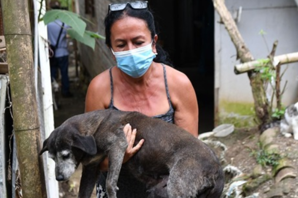 Falleció rescatista de animales en Cali: más de 50 mascotas quedaron desamparadas