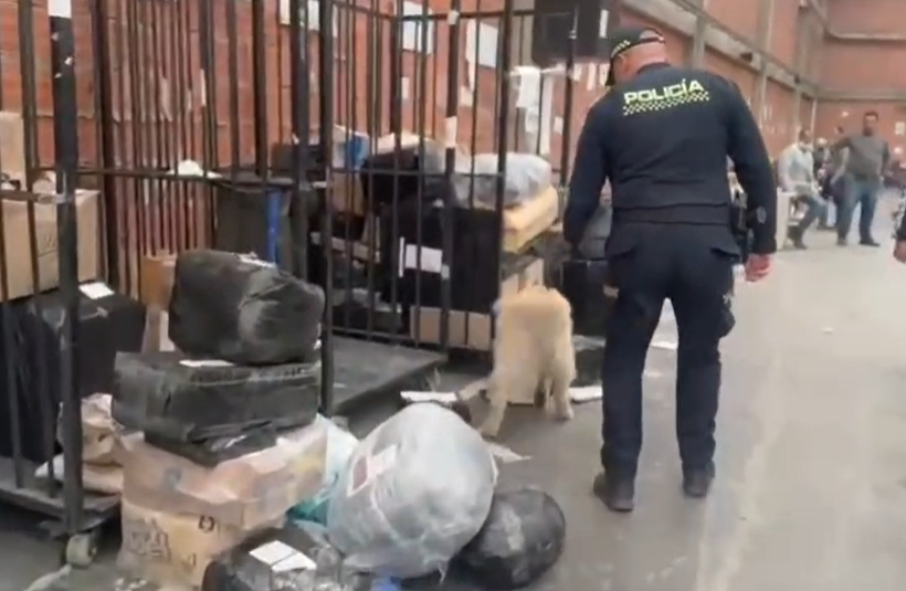Perros antinarcóticos de El Dorado hallan paquete de cocaína camuflado en repuestos