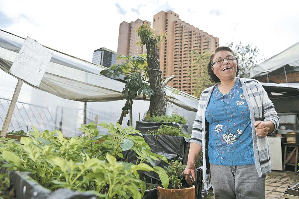 La agricultura pasa del campo a la ciudad