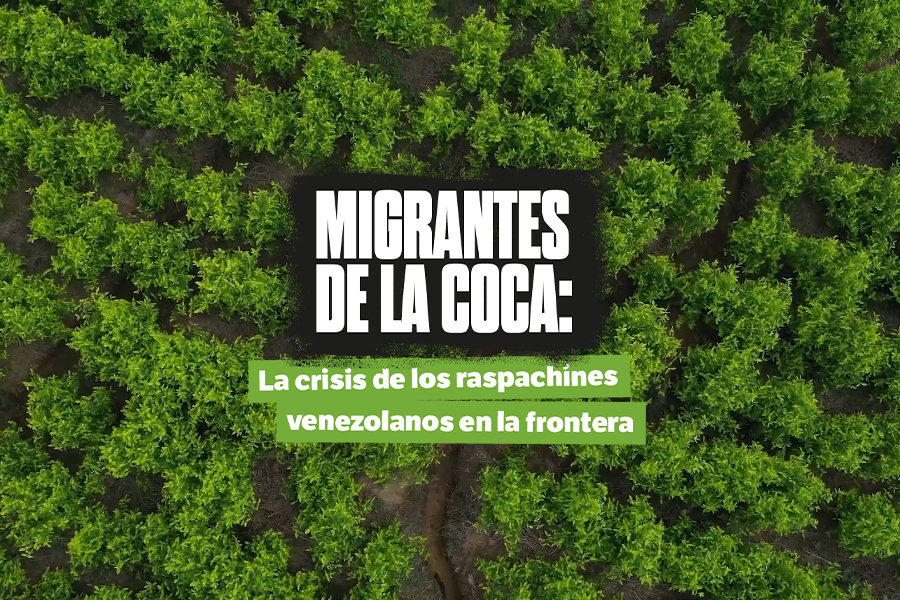 Migrantes de la coca: la crisis de los raspachines venezolanos en la frontera