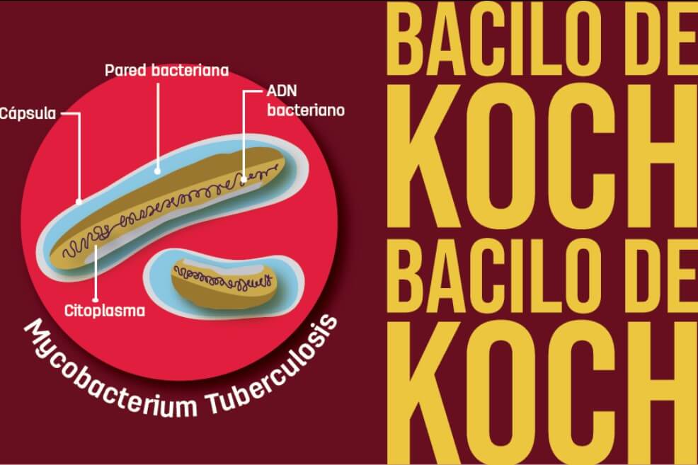 El reto de vencer la resistencia a los antibióticos desde tres universidades colombianas