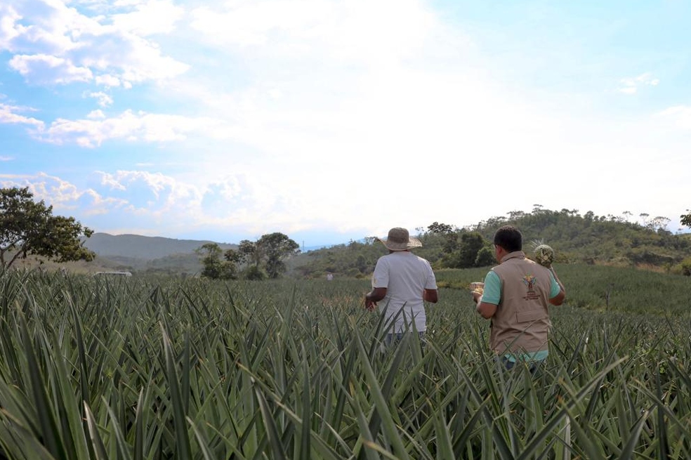 Igac habilitó a la Unidad de Restitución de Tierras como gestor catastral