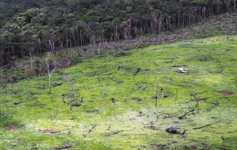 En Colombia empresas estarían comprando “bonos de carbono” que exageran resultados