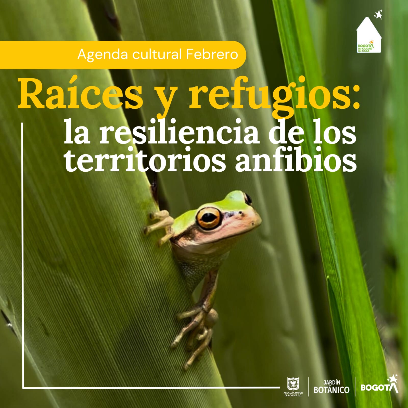 Bogotá es una ciudad que forma parte de un territorio anfibio. Es momento de conectar con este entorno y aprender a relacionarnos con él