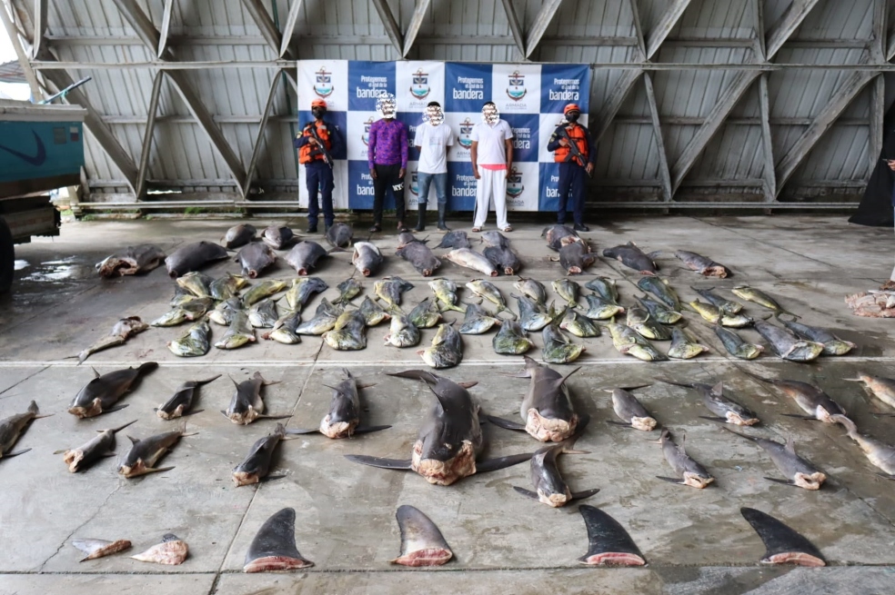 Incautación de pesca ilegal.