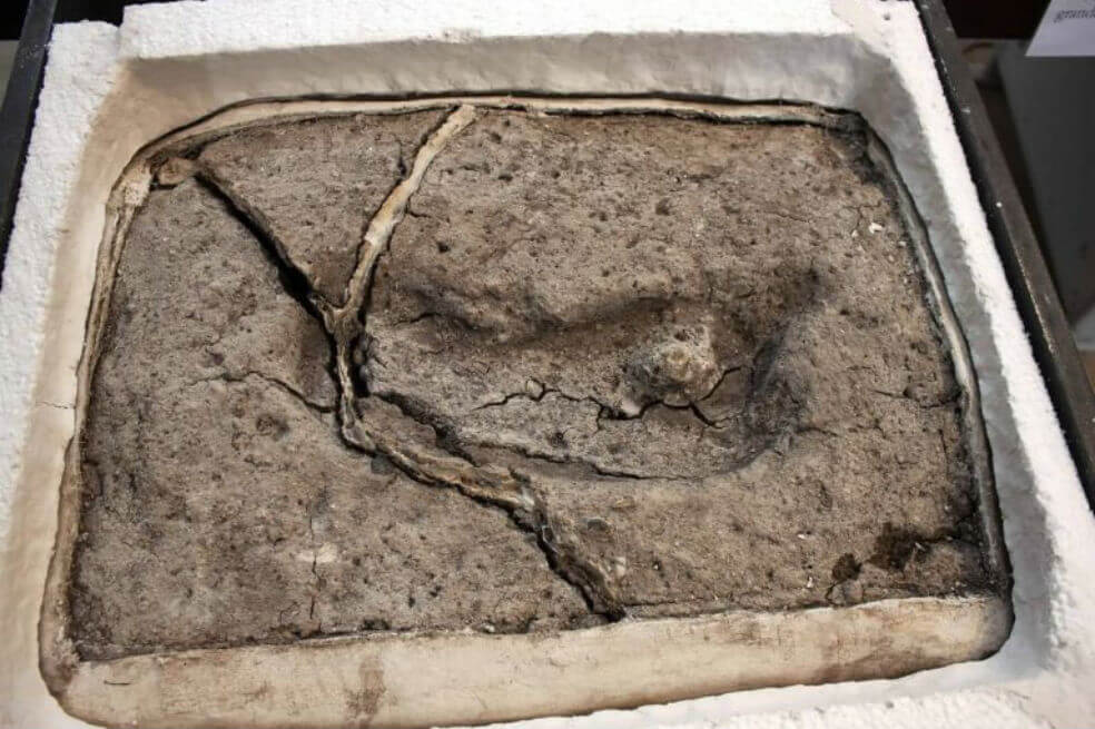 La huella humana más antigua de América está en Chile y tiene 15.600 años