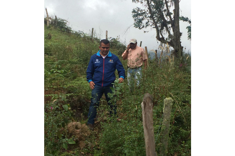 Cundinamarca invirtió $210 millones en reforestación