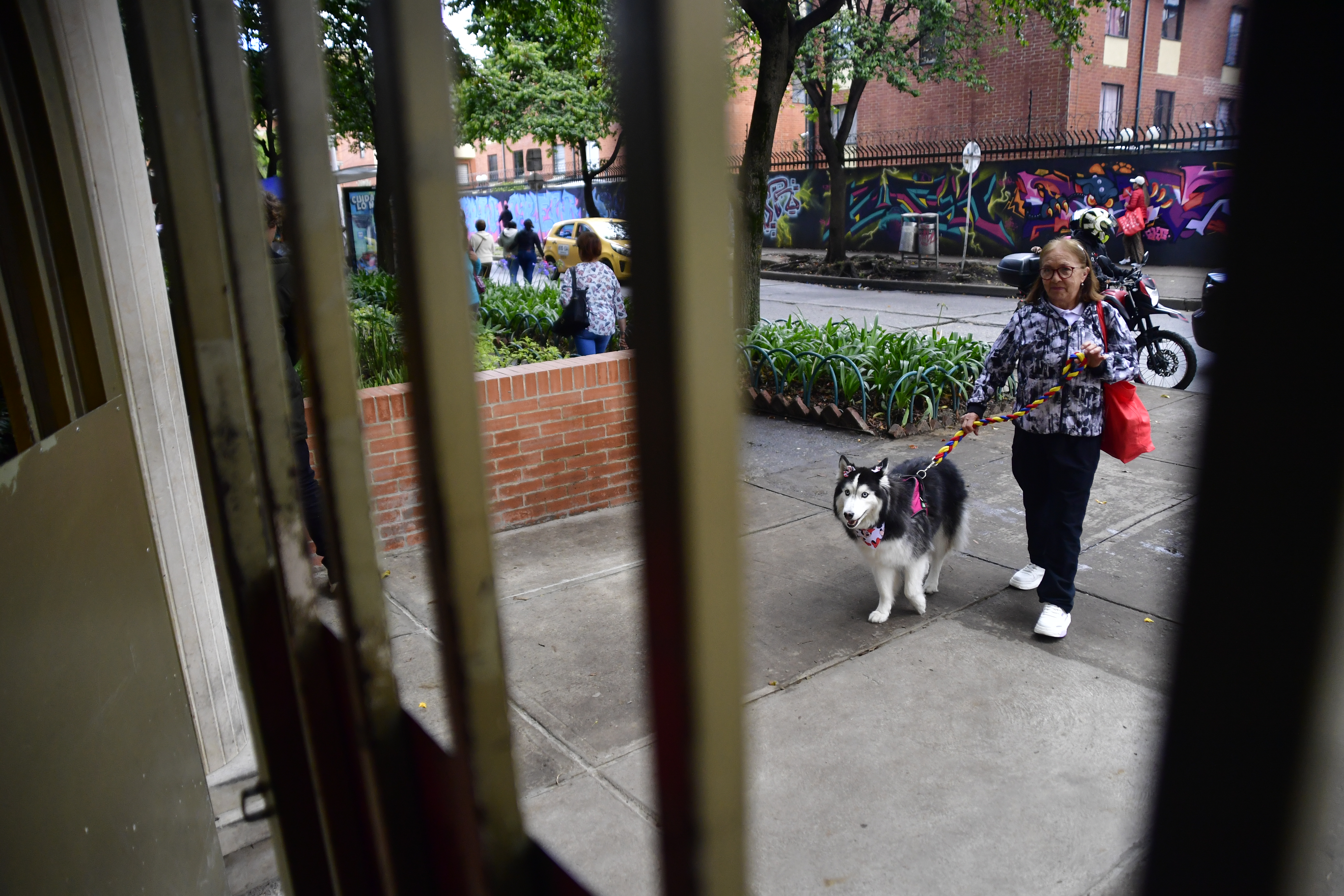 Evite multas: cosas prohibidas para las mascotas en conjuntos residenciales